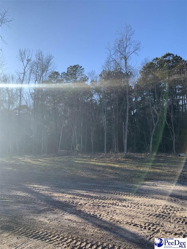 7411 E National Cemetery Rd, Florence, SC 29506 - photo 44