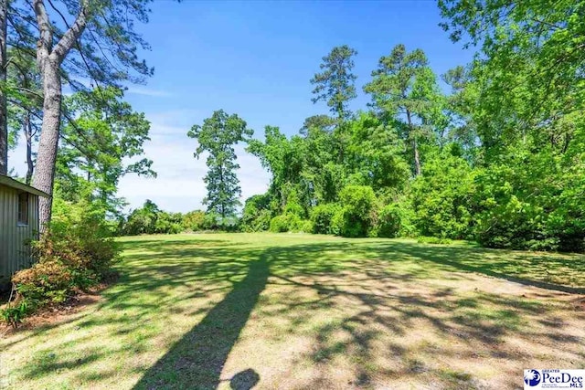 1516 S 4th St, Hartsville, SC 29550 - photo 40