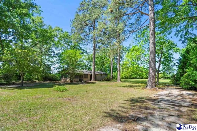 1516 S 4th St, Hartsville, SC 29550 - photo 37