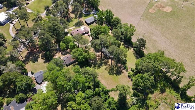 1516 S 4th St, Hartsville, SC 29550 - photo 43