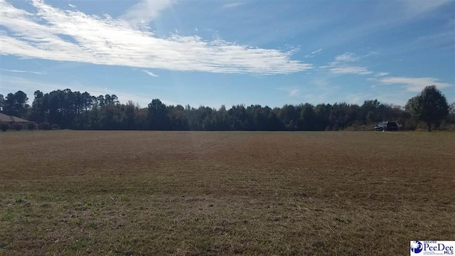 TBD Sulgrave Rd, Bennettsville SC, 29512 land for sale