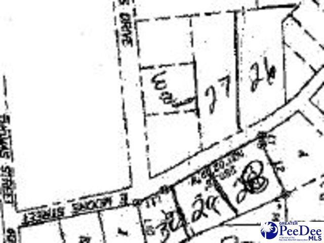 0 E Moore St, Olanta, SC 29114 - photo 1