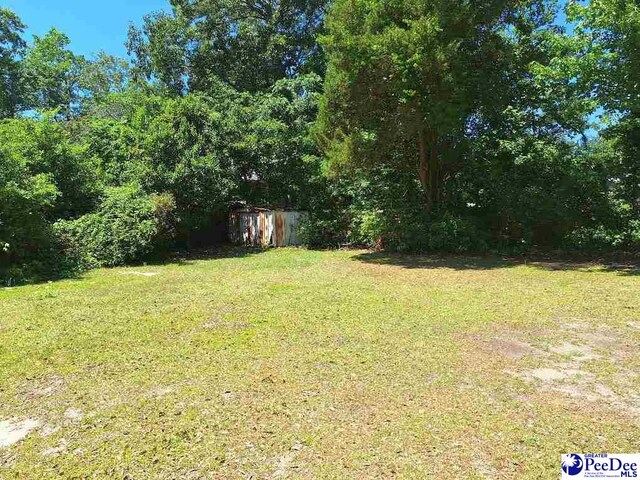 4082 Farmwood Dr, Florence, SC 29501 - photo 2
