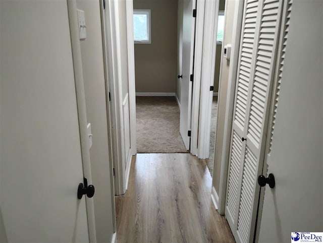 2228 W Market St, Cheraw, SC 29520 - photo 26