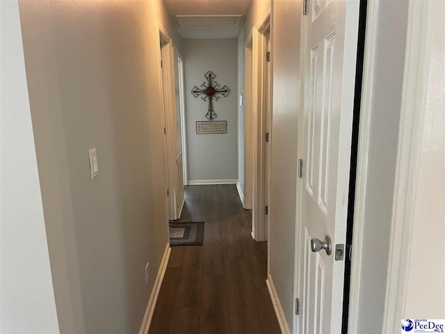 hallway featuring dark hardwood / wood-style flooring