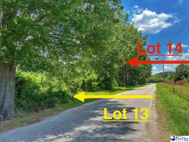 LOT13 Gasque Dr, Latta SC, 29565 land for sale