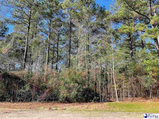 115 Thistledown Ln, Cheraw, SC 29520