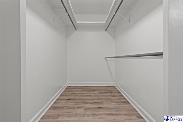 841 W Mallard Hen, Florence, SC 29505 - spacious closet with wood finished floors