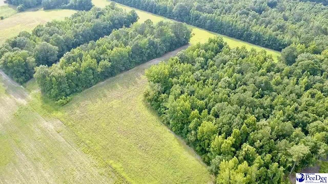 1914 N Old Georgetown Rd, Scranton, SC 29591 - photo 3