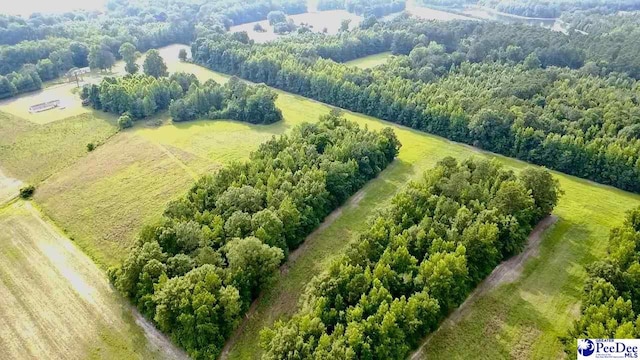 1914 N Old Georgetown Rd, Scranton, SC 29591 - photo 6