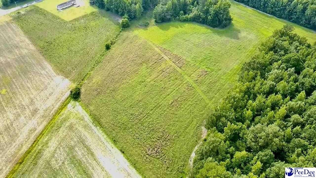 1914 N Old Georgetown Rd, Scranton, SC 29591 - photo 7