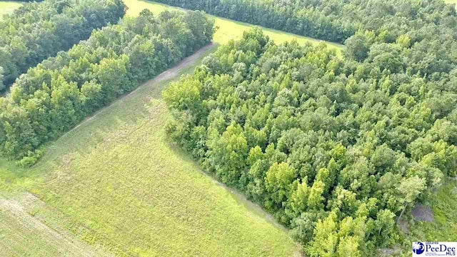1914 N Old Georgetown Rd, Scranton, SC 29591 - photo 4