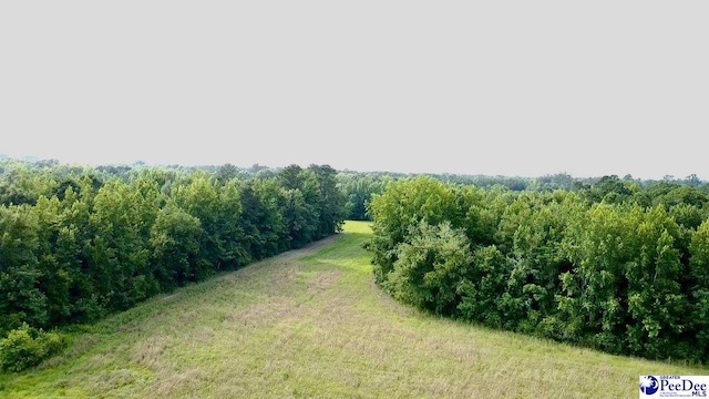 1914 N Old Georgetown Rd, Scranton, SC 29591 - photo 8