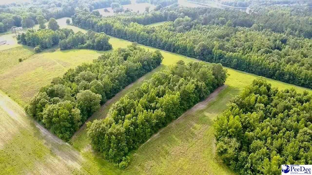 1914 N Old Georgetown Rd, Scranton, SC 29591 - photo 5