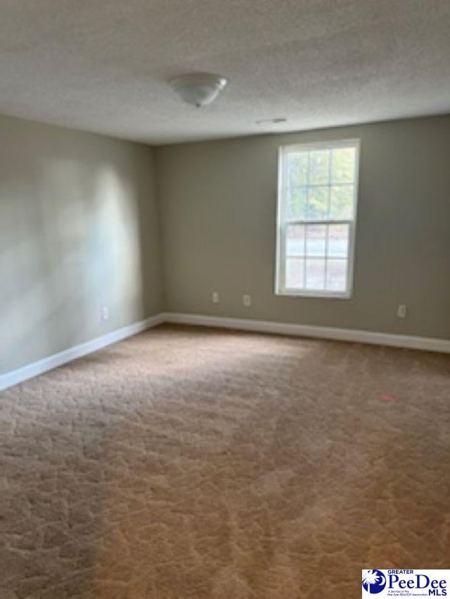 carpeted empty room with a textured ceiling