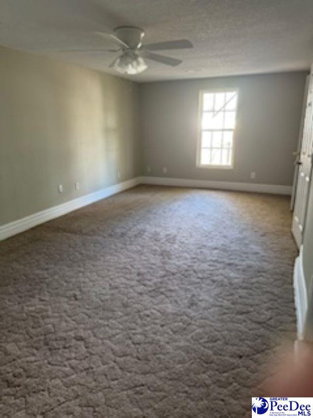 carpeted empty room with ceiling fan