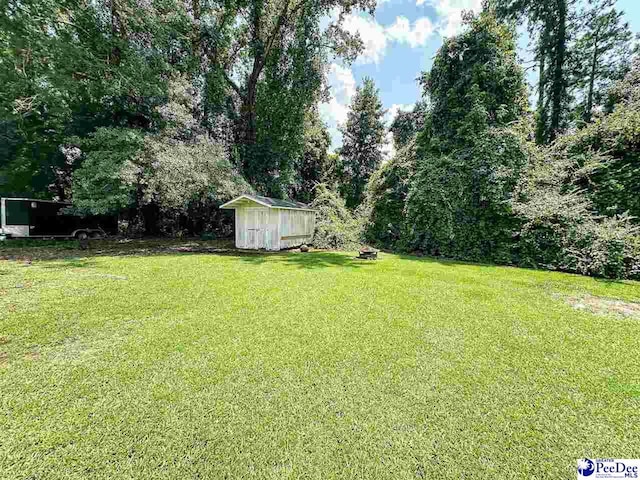 view of yard with a storage unit