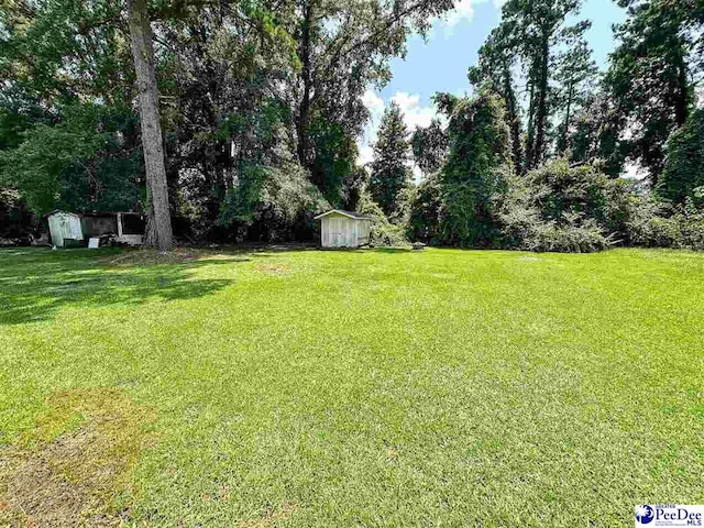 view of yard with a shed