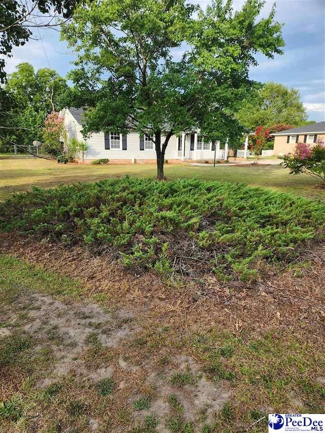 109 James Rd, Cheraw, SC 29520 - photo 4