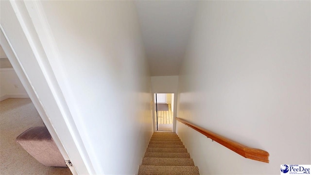 441 S Timberlake Ln, Hartsville, SC 29550 - photo 29