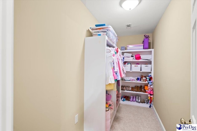2723 Trotter Rd, Florence, SC 29501 - photo 42