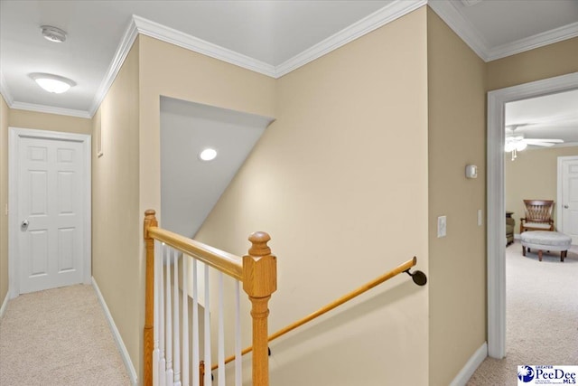 2723 Trotter Rd, Florence, SC 29501 - photo 45