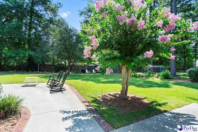 2723 Trotter Rd, Florence, SC 29501 - photo 46