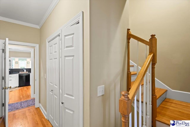 2723 Trotter Rd, Florence, SC 29501 - photo 23