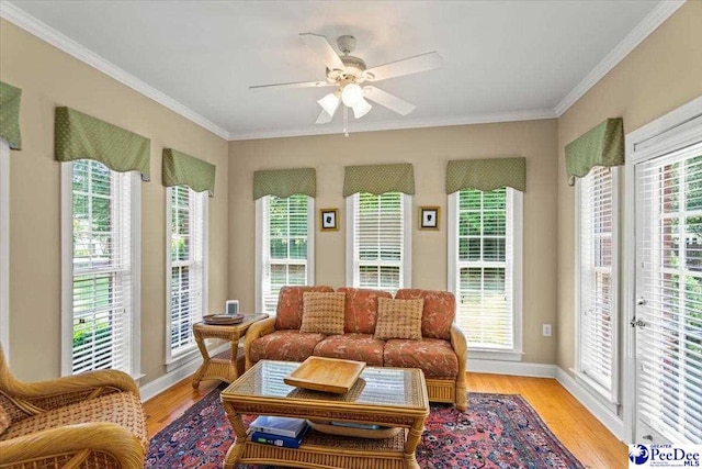 2723 Trotter Rd, Florence, SC 29501 - photo 20