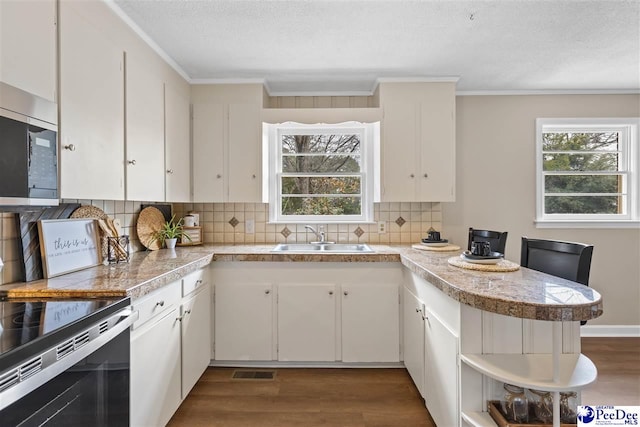 kitchen with white cabinetry, stainless steel appliances, sink, and backsplash