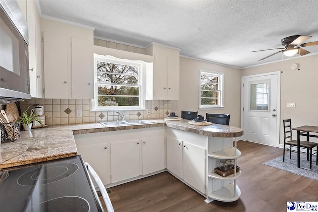 kitchen with white cabinetry, appliances with stainless steel finishes, dark wood-type flooring, and sink