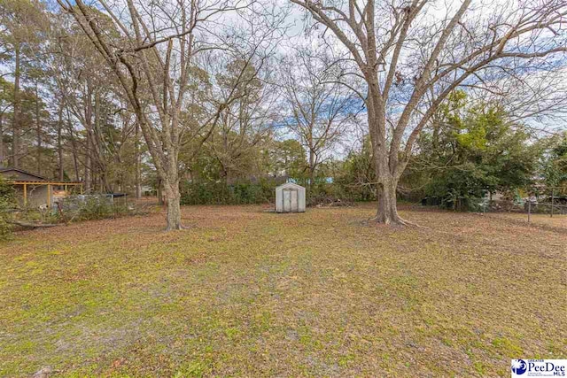 view of yard featuring a storage unit