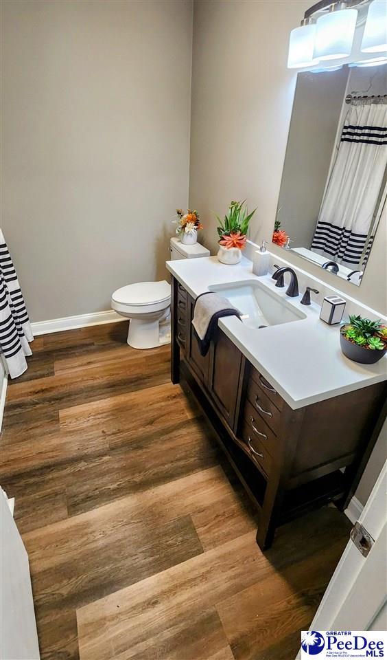 bathroom with wood-type flooring, toilet, and vanity