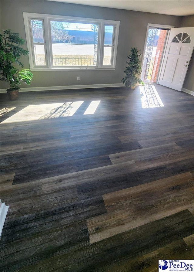 foyer with dark hardwood / wood-style floors