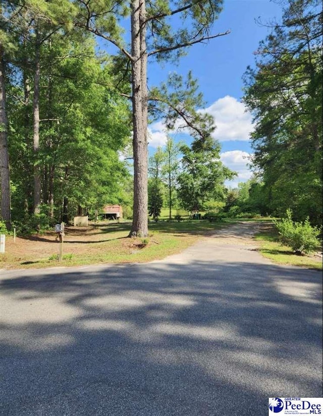 1405 Bent Tree Ct, Hartsville, SC 29550