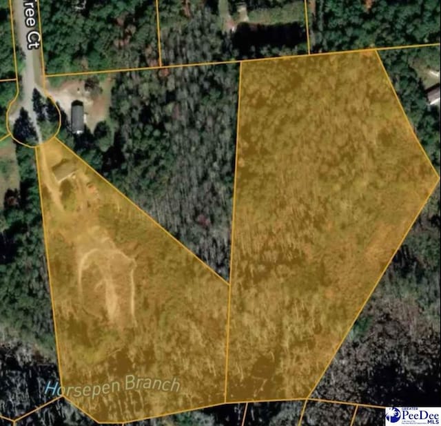 1405 Bent Tree Ct, Hartsville, SC 29550