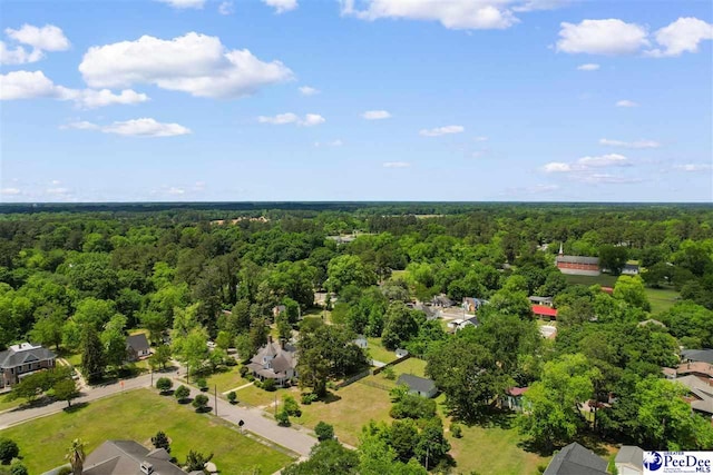118 Ford Ave, Mullins, SC 29574 - bird's eye view of a forest