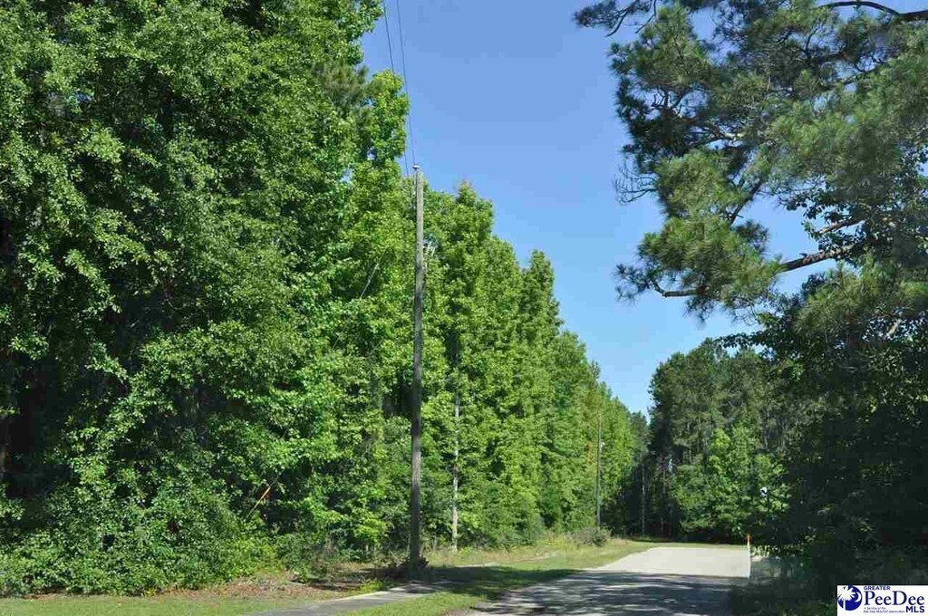 TBDLOTS1-7 Bundy St, Clio, SC 29525 - photo 2