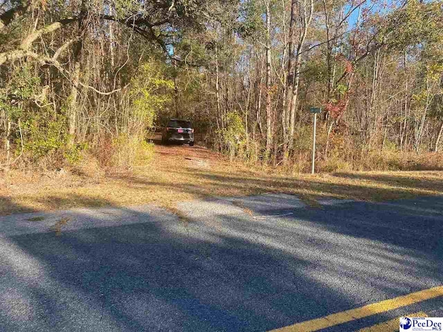 Henderson Rd, Varnville, SC 29944