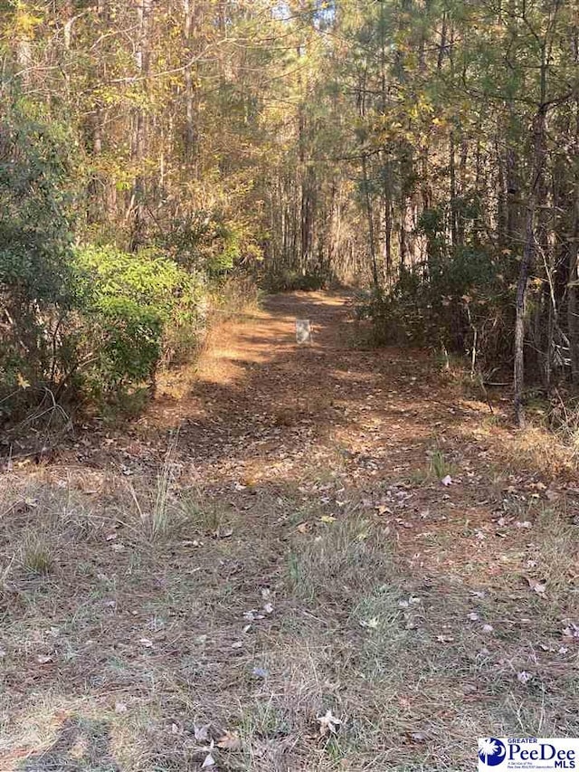 Henderson Rd, Varnville, SC 29944