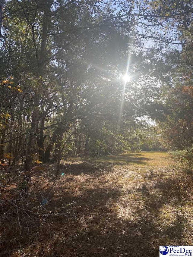 Henderson Rd, Varnville, SC 29944