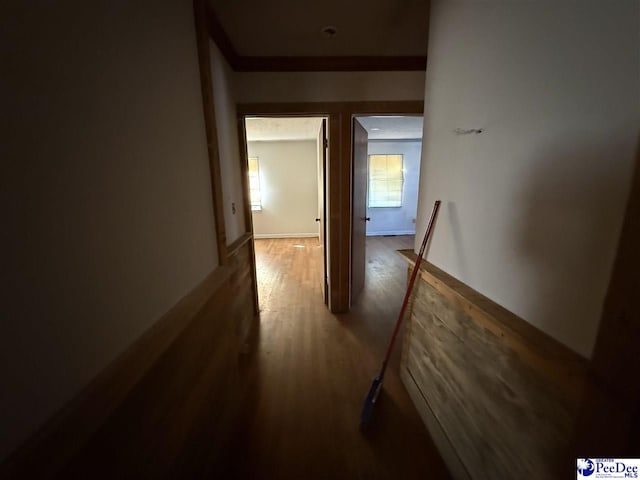 corridor featuring wood-type flooring