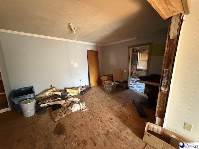 miscellaneous room with crown molding and a textured ceiling