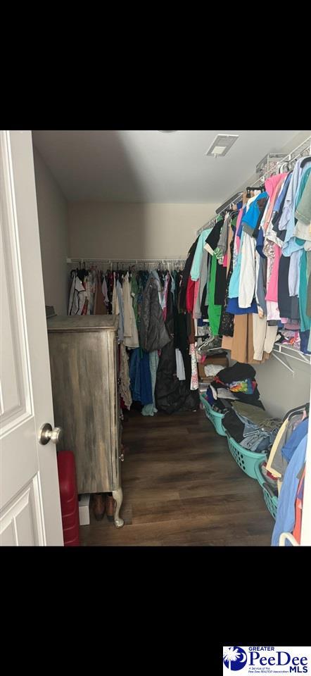 spacious closet with hardwood / wood-style flooring