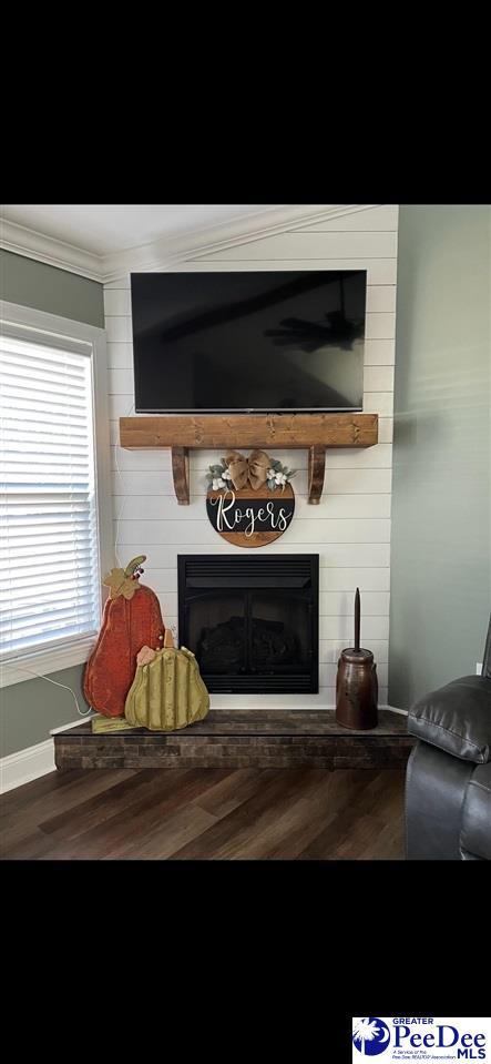 details with a large fireplace and wood-type flooring