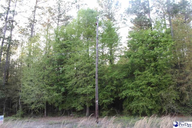 LOT3 Reds Lndg, Andrews SC, 29501 land for sale