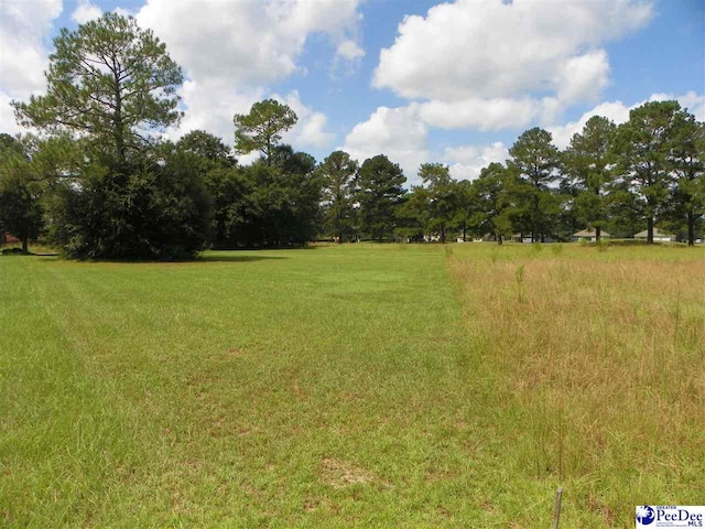 2320 Sunvue Dr, Florence SC, 29506 land for sale