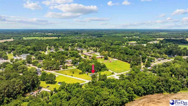 903 N Park St, Mullins, SC 29574 - bird's eye view of a forest