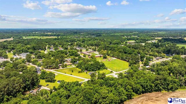 903 N Park St, Mullins, SC 29574 - aerial view of a forest