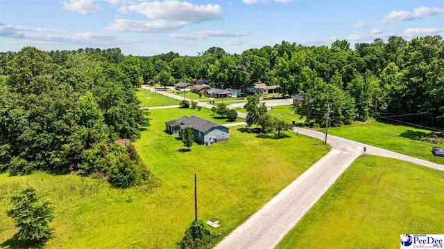 903 N Park St, Mullins, SC 29574 - bird's eye view of a forest